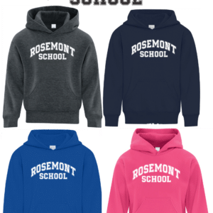 Everyday Hoodie (Youth and Adult)